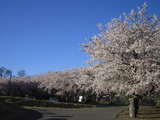 1a2784b0.JPG