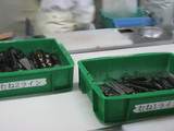 4f925f37.JPG
