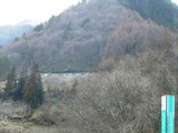 71602f57.JPG