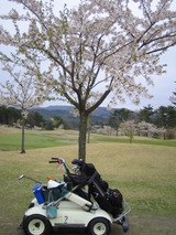 962db8bd.JPG