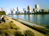 b1330531.jpg