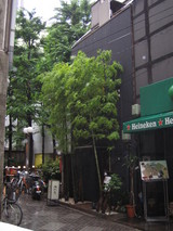 cc092744.JPG