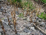d392d032.jpg