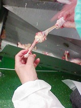 d78f8b10.jpg