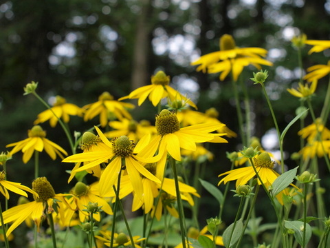 2008_08_03_02