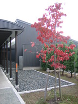 e2851291.JPG