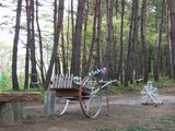�ե��쥹�ȥѡ��������