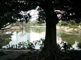 f8e89480.jpg