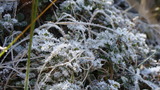 DSC05940