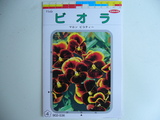 �ӥ��魤