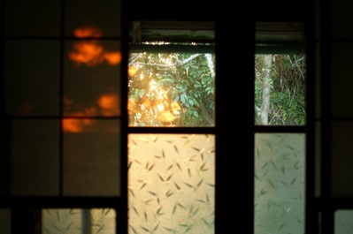 th_DSC01954