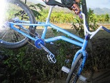 th_IMG_8371