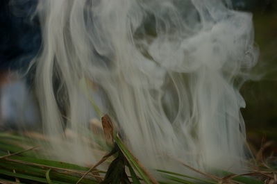 th_DSC00181
