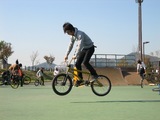 hjijijd637