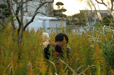 th_DSC00180
