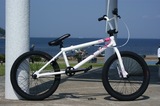 th_DSC01565