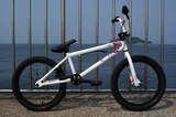 th_DSC01613