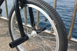 th_DSC01376