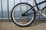 th_DSC01378