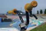 th_DSC01403