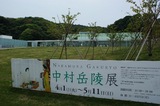 th_DSC01040