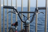 th_DSC01361