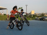 f1d12105.jpg