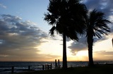 th_DSC00898