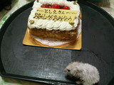 ケーキでちぃ