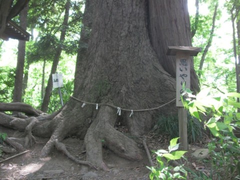 SANY0047.JPG