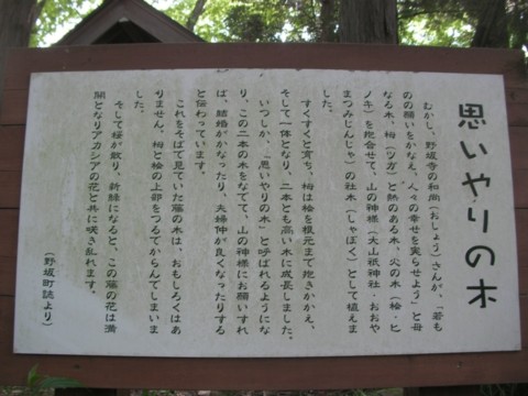 SANY0046.JPG