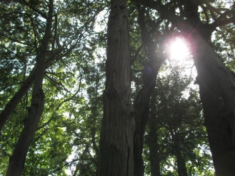 SANY0048.JPG