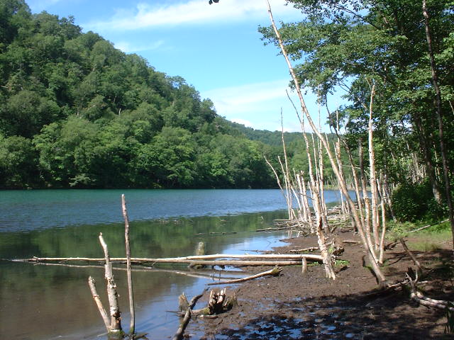 DSCF0145