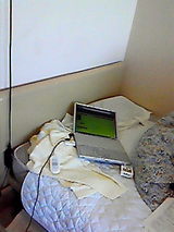 38fbff06.jpg