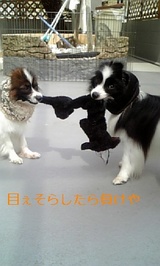 本気と書いて『マジ!』 本気と書いて『マジ!』