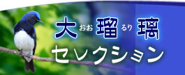 大瑠璃コレクション