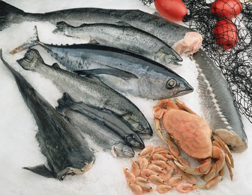 ＨＡＣＣＰ