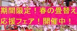 haru-maturi