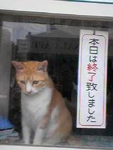 ぬこ
