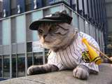 阪神優勝猫