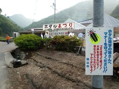 ホタル祭り