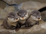 3人