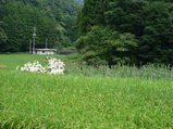 t_P1020544