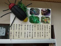 ホタル祭り