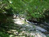 t_P1020732