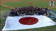 wbc