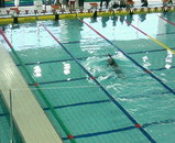 c6b45773.jpg
