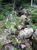 t_P1020726