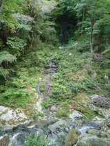 t_P1020705