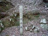 t_P1020742